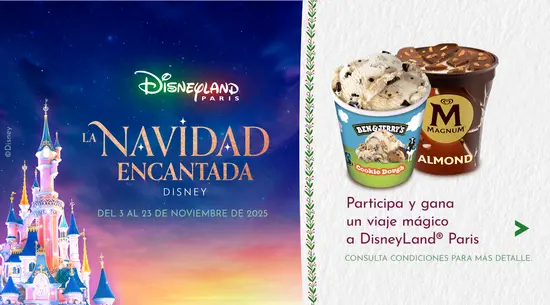 Ben & Jerry's Y Magnum