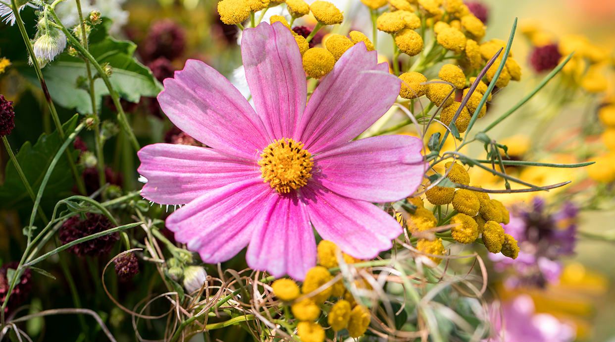 Floristería EMI Barcelona