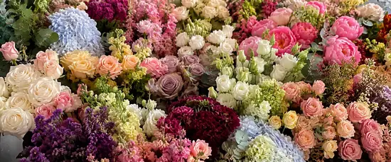 Bloom Room
