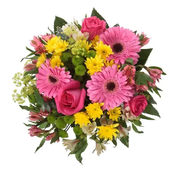 Saad Bin Fiori e Piante