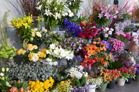 Fiori e Piante di Mary