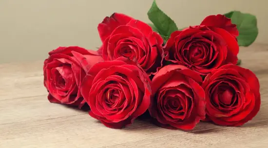 Kwiaciarnia u Haliny