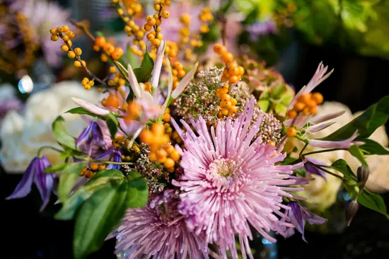 Piante e Fiori