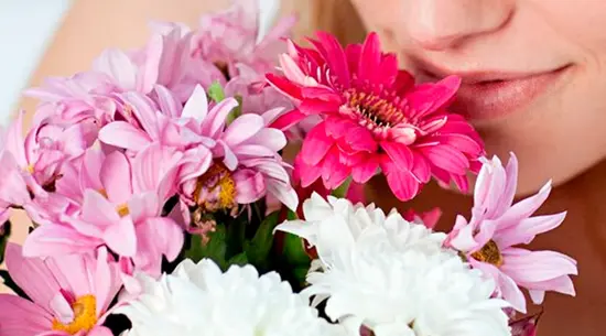 Floristería La Camelia