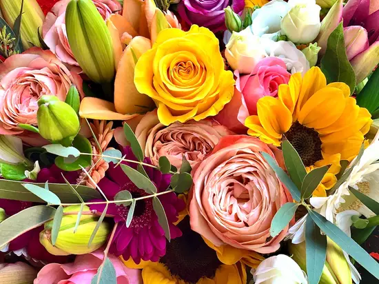 M & O Fiori e Piante