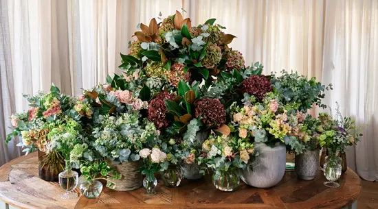 Tavola Floristería