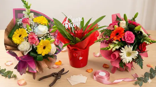 Florista C.C.Leclerc