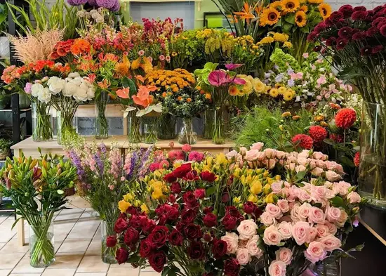 Zakwitanie Kwiaciarnia