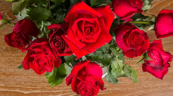 Muscari By Natalia Palacios