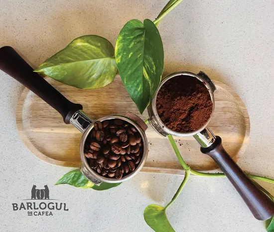 Bârlogul de cafea