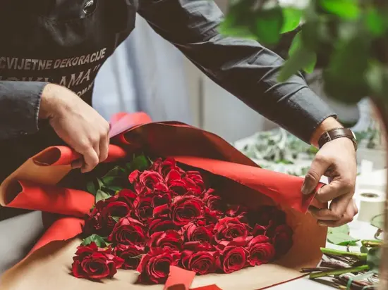 Cvjećarnica Ciklama