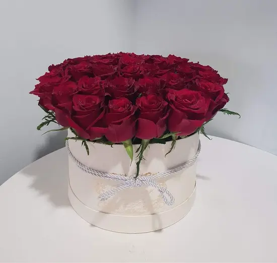 Flowers Shop Freesia