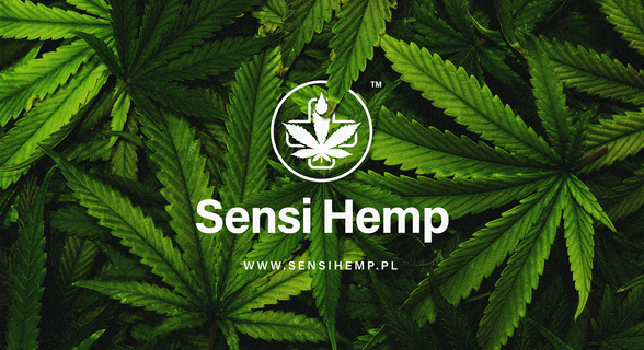 Sensi Hemp Mickiewicza