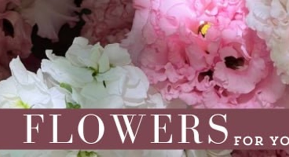 Flower Hub