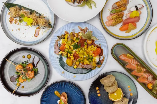 Akira Fusion Experience