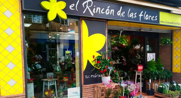 El Rincón De Las Flores