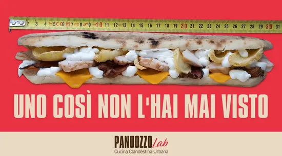 Panuozzo Lab