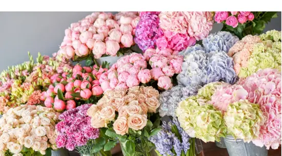 Flowers by Alexandra