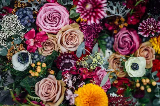 Floraria Flori In Culori