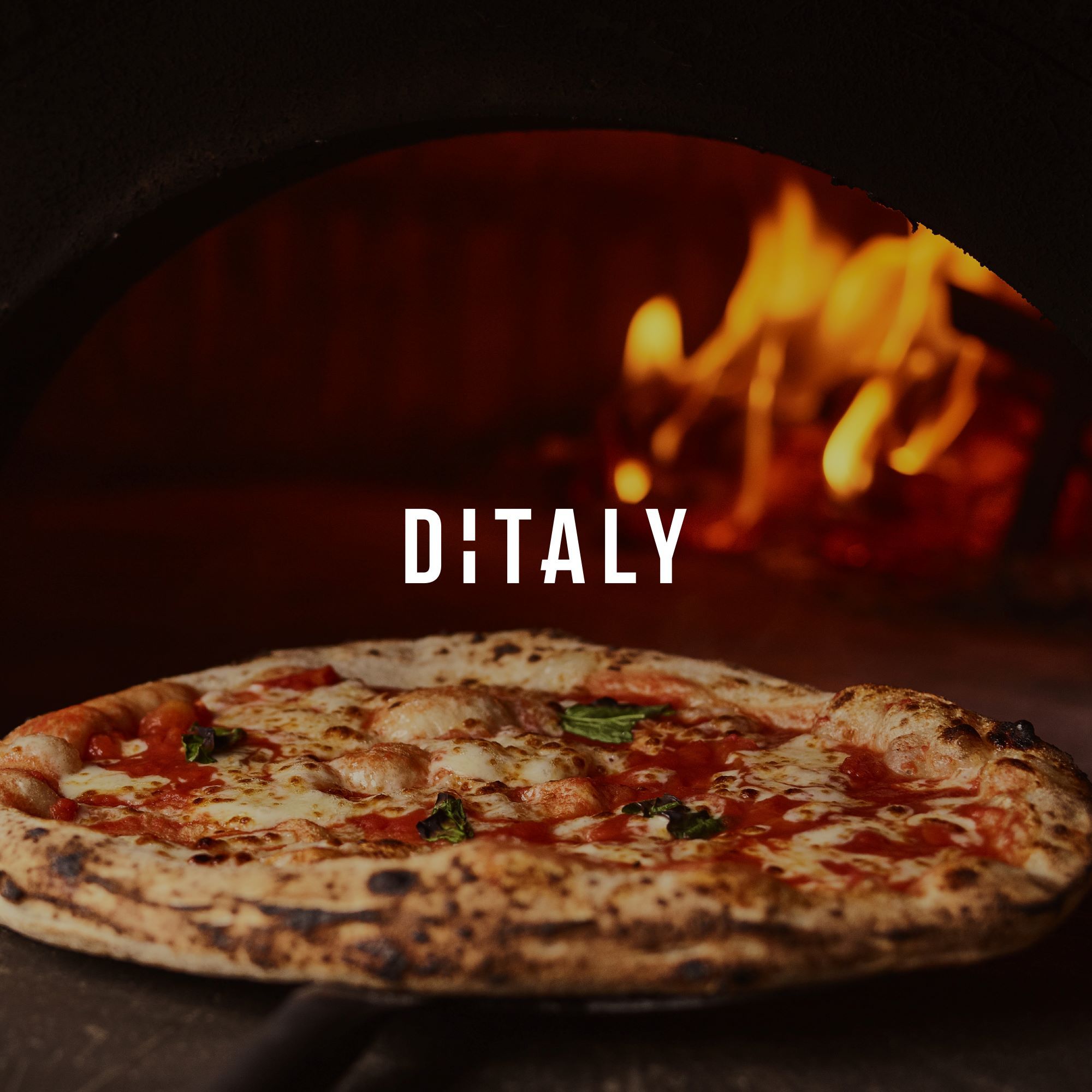 Ditaly Pizza Napolitana