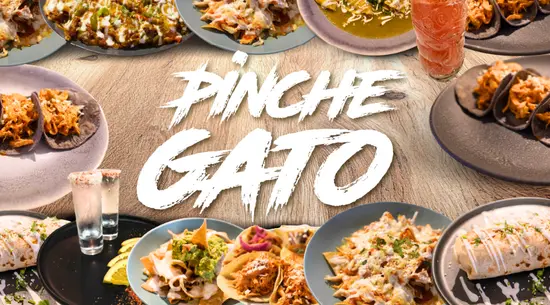 Pinche Gato