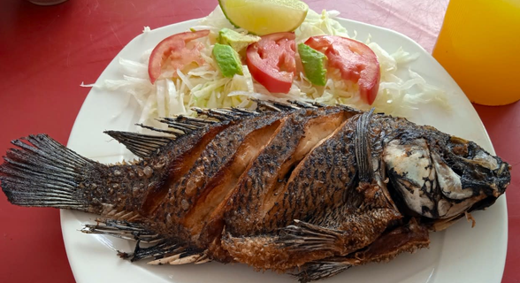 Рибен ресторант Корал
