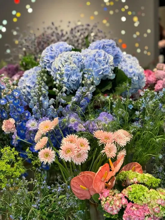 Floraria Coco Jardin