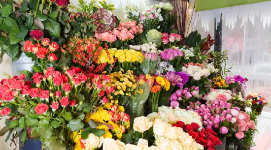 Loja de Flores Aveiro