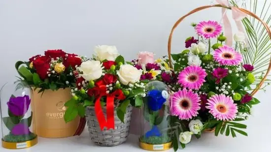 Cvećara Evergreen