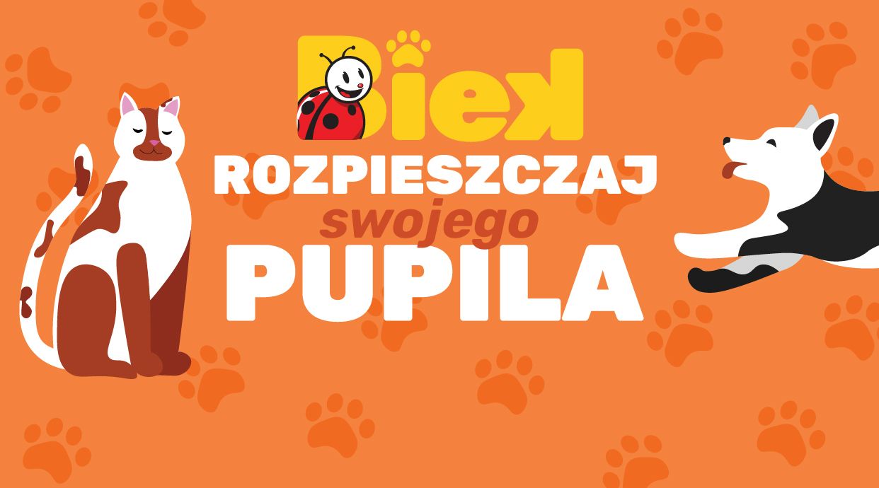 Biedronka Express