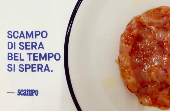 Scampo