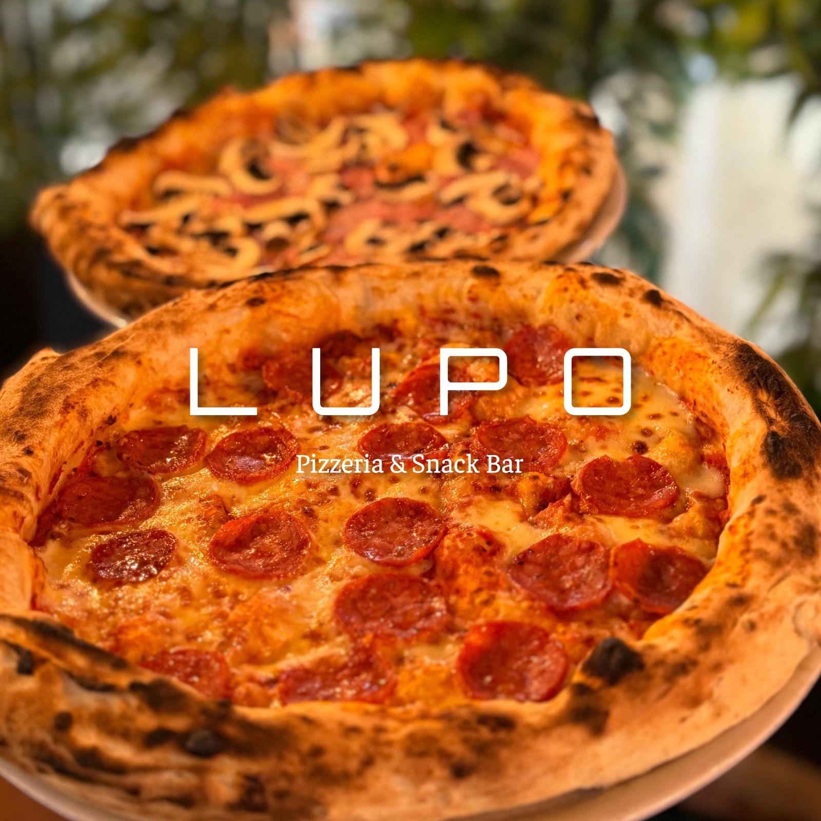 Lupo Pizzería Snack & Bar