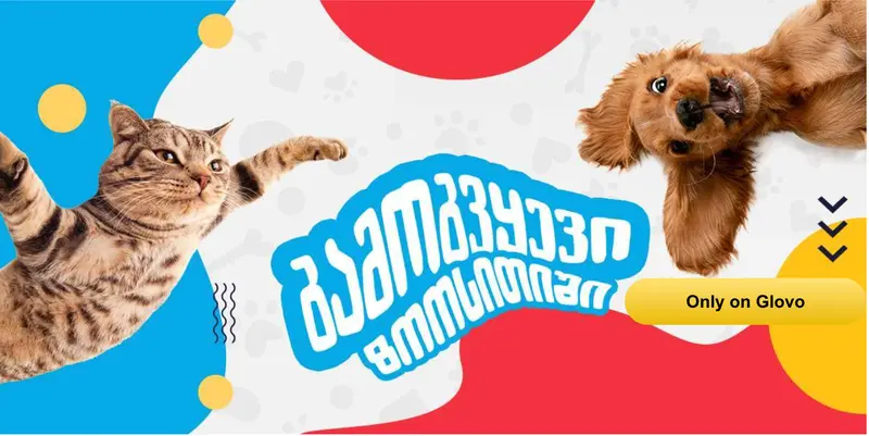ZooCity