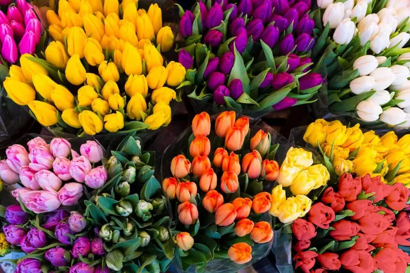 Fiore per Te