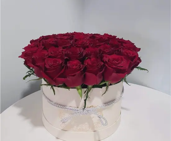 Flowers Shop Freesia