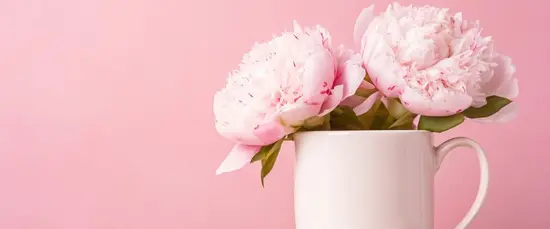 Peony Flowers Boutique