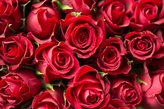 Flower Art Creation
