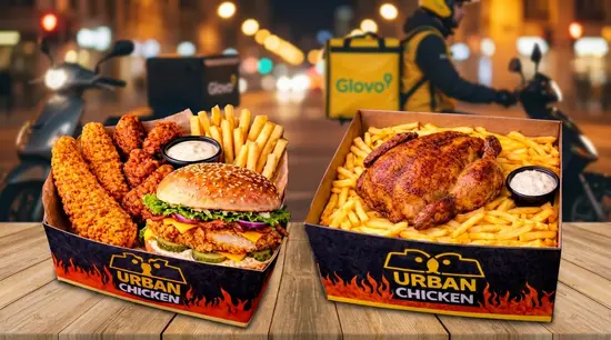 Urban Chicken