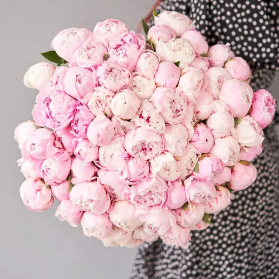 Kwiaciarnia Gift & Flowers