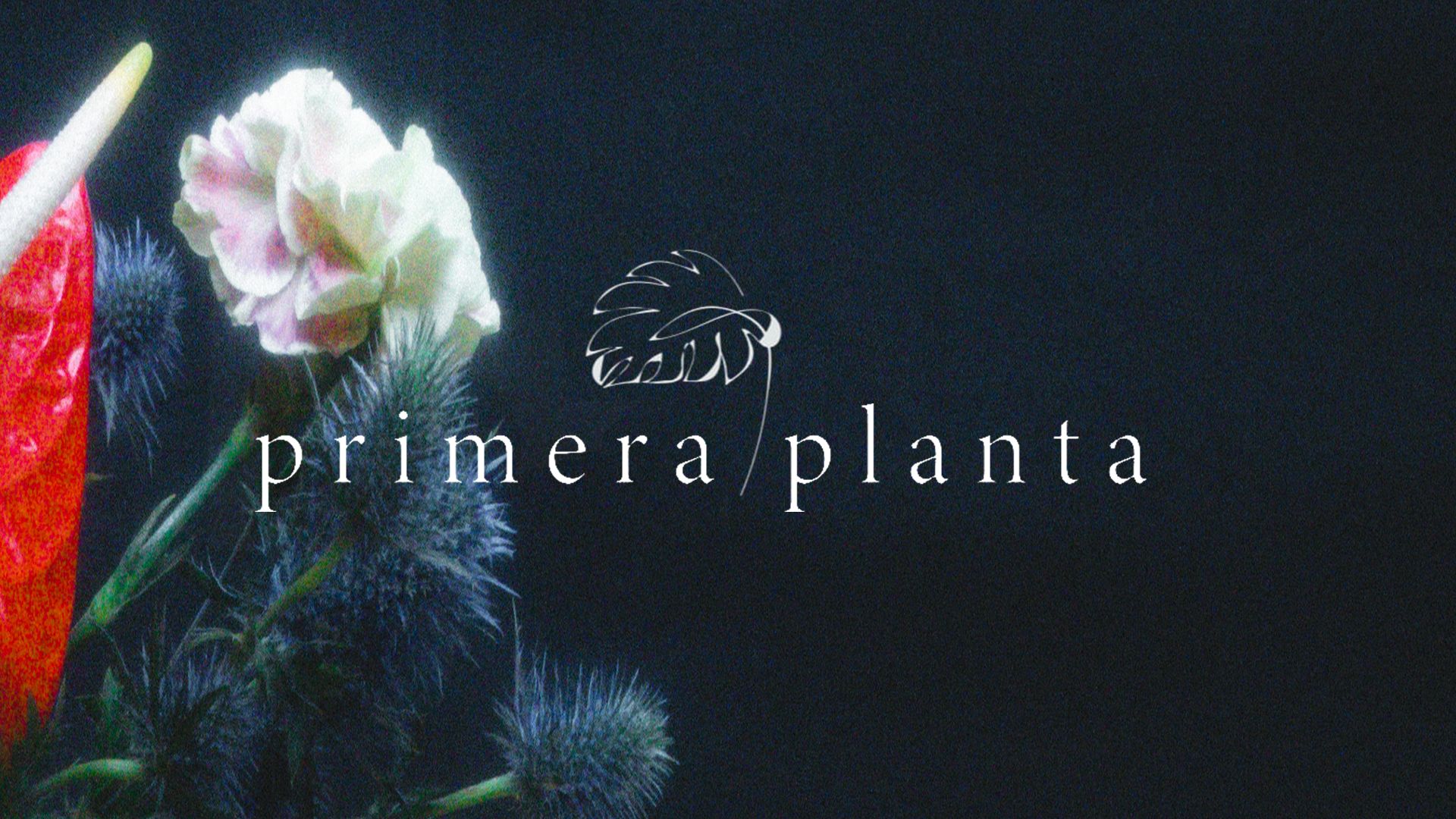 Primera Planta