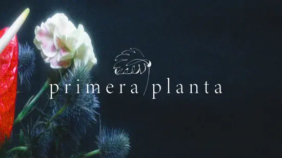 Primera Planta