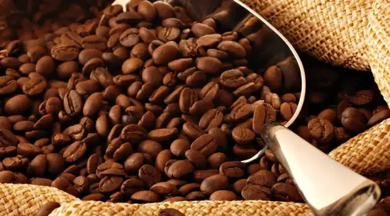 Svit chayu / Світ чаю