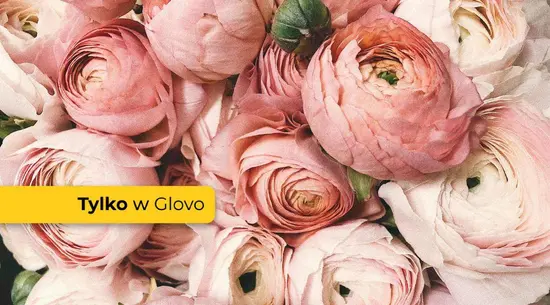 Gardenia Kwiaty i Dekoracje