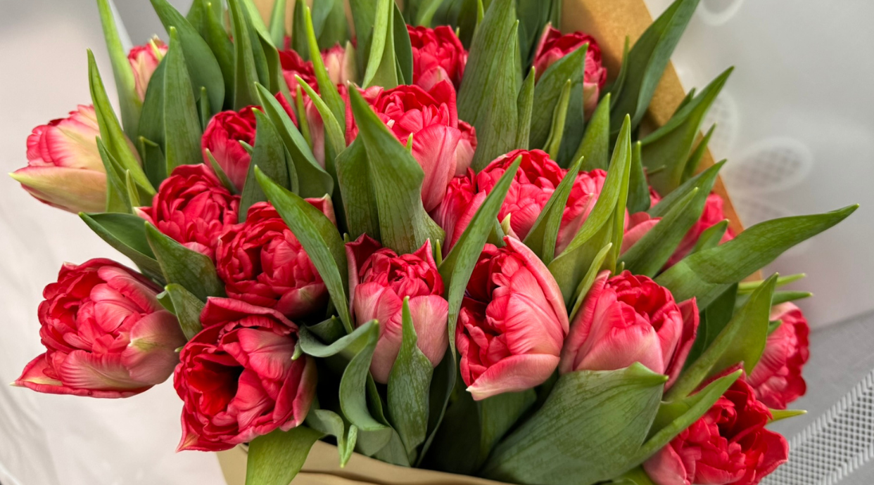 Gardenia Flowers Shop