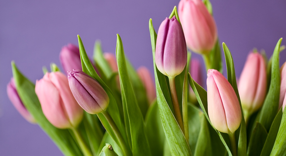 Floristería Bilbao Gandarias