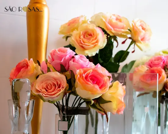 São Rosas. Artista Manuela Bento