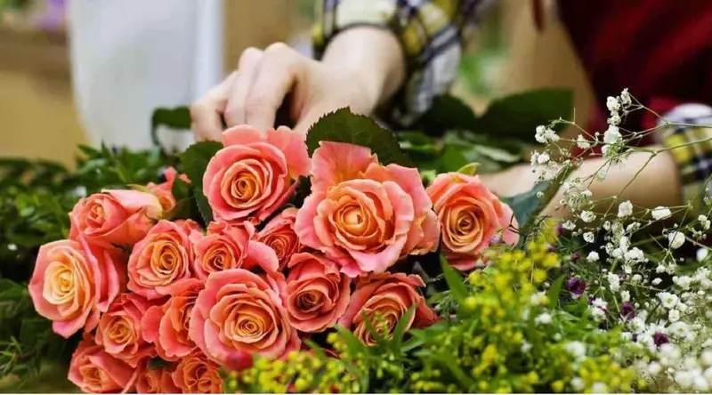 Fleur de Lys Elmanar 2