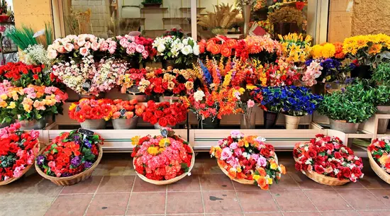 Aixo Flors