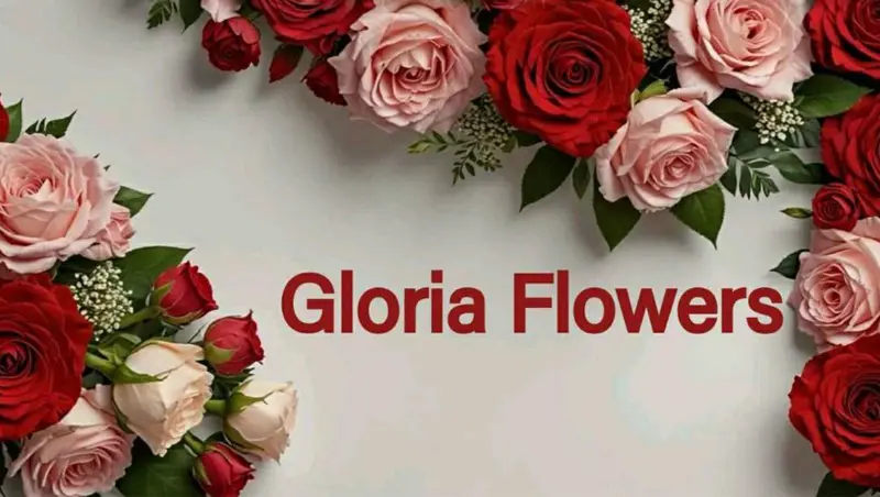 Gloria Flowers & Gifts