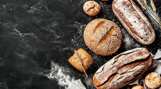 Forno Panacea  / solo pasta madre